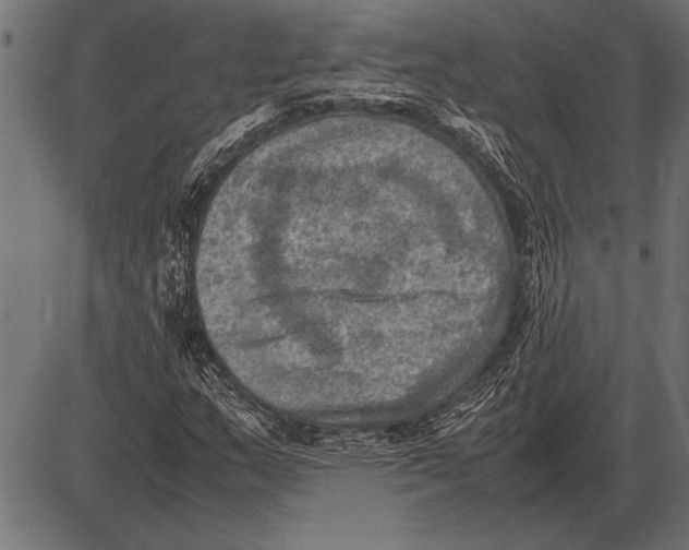 X0000085731159200704091437