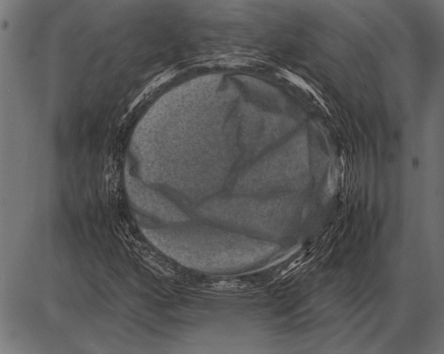 X0000085731160200704091437