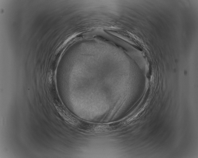 X0000085731161200704091437