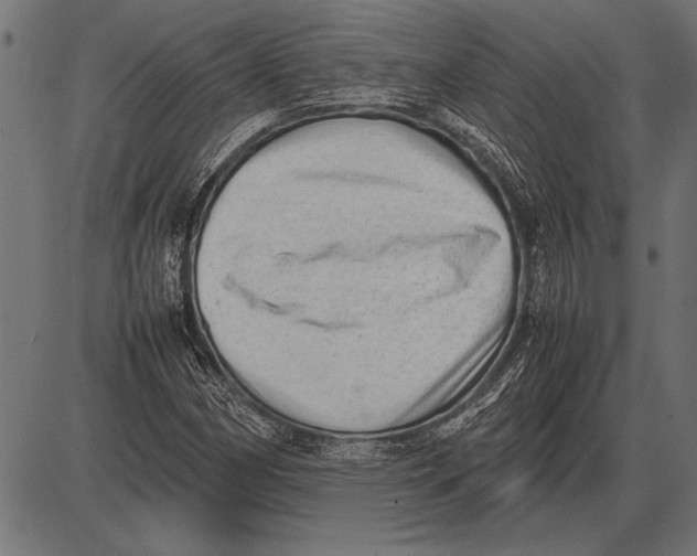 X0000085731162200704091437