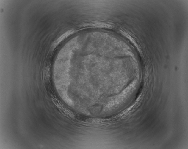 X0000085731163200704091437