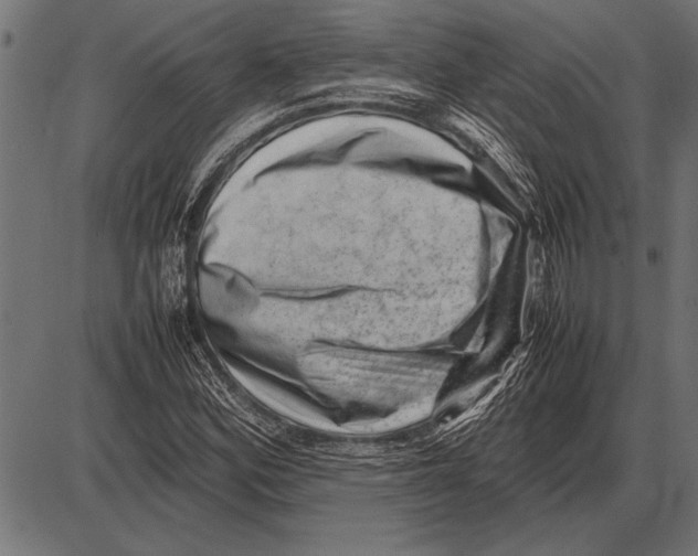 X0000085731164200704091437