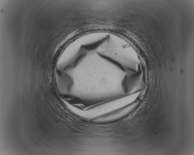 X0000085731165200704091437