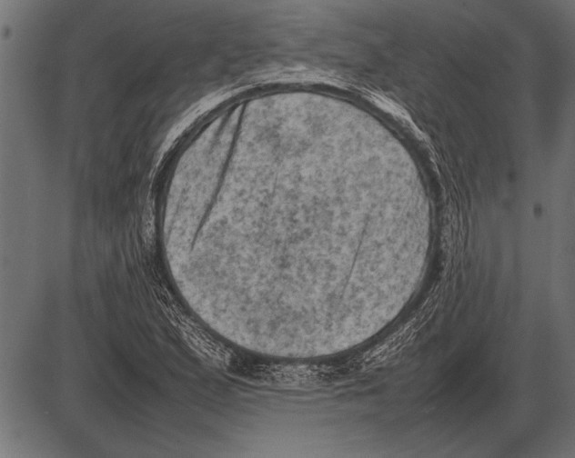 X0000085731167200704091436