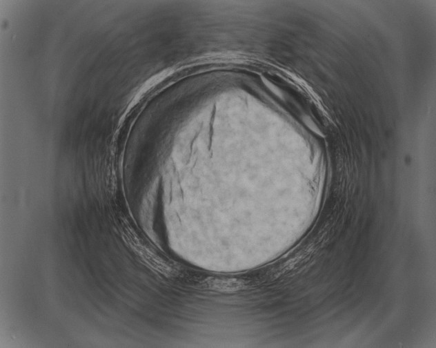 X0000085731168200704091436