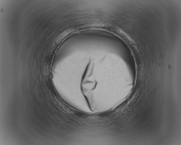 X0000085731169200704091436