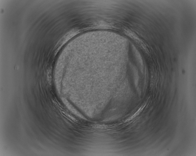 X0000085731170200704091436