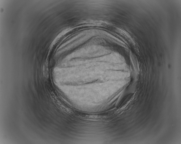 X0000085731172200704091436