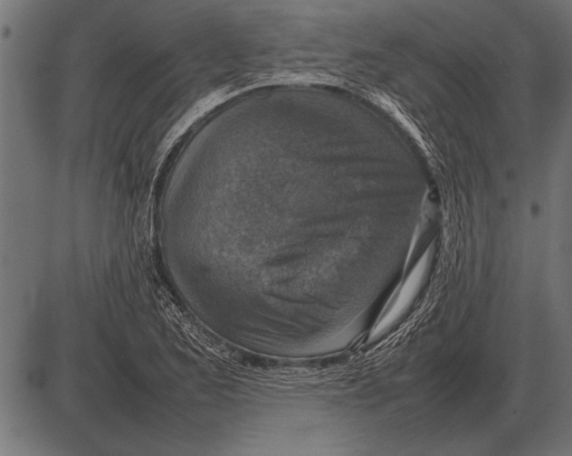 X0000085731173200704091436