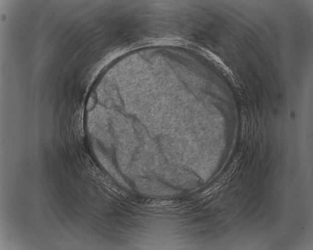 X0000085731174200704091436