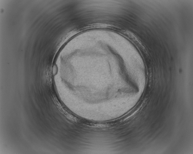 X0000085731178200704091436