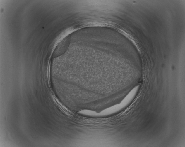 X0000085731179200704091436