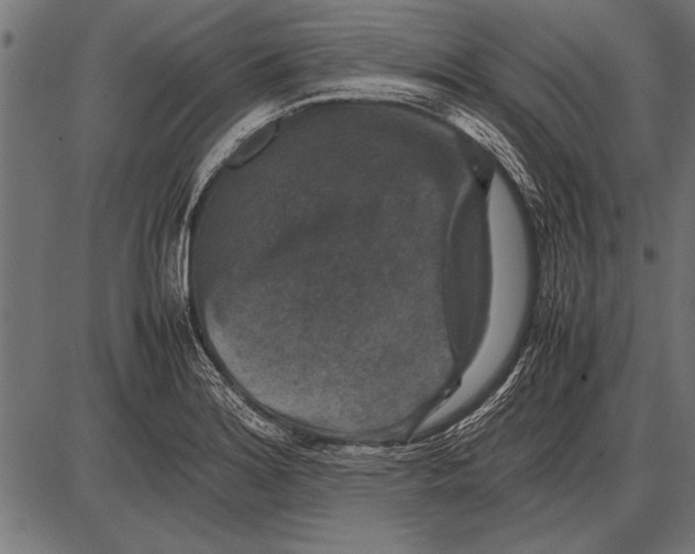 X0000085731180200704091436