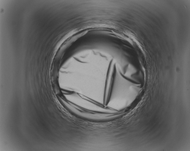 X0000085731181200704091436