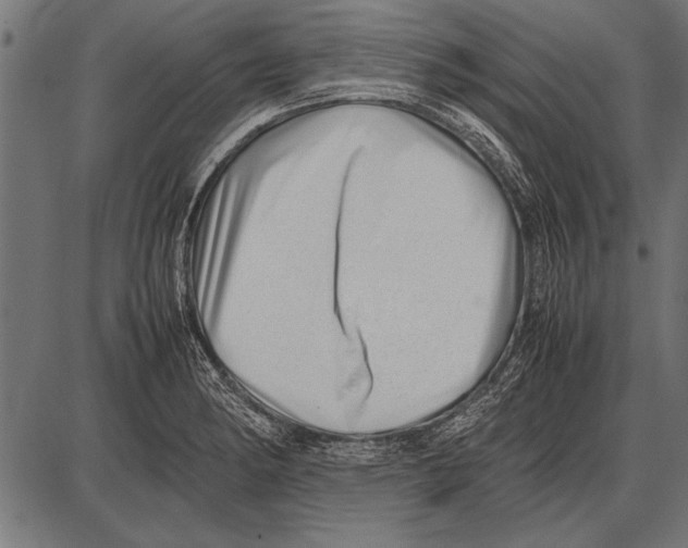 X0000085731182200704091436