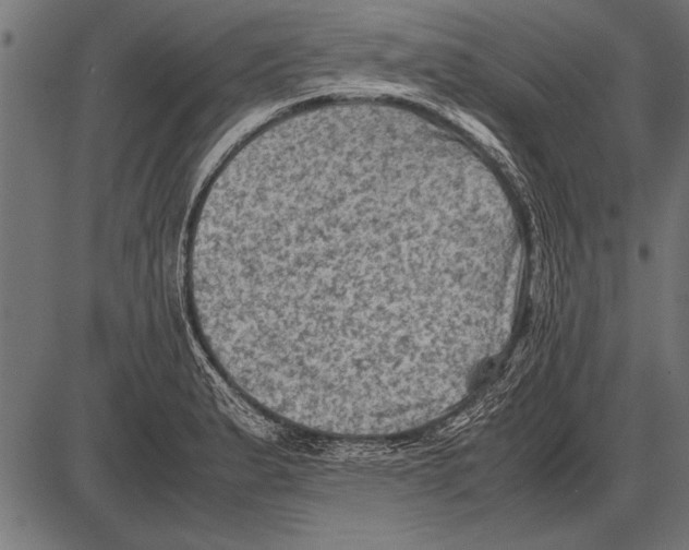 X0000085731183200704091436