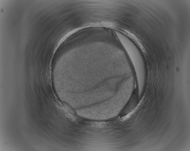 X0000085731184200704091436