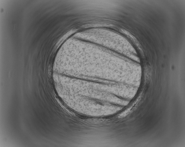 X0000085731185200704091436