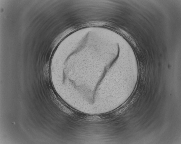 X0000085731186200704091436