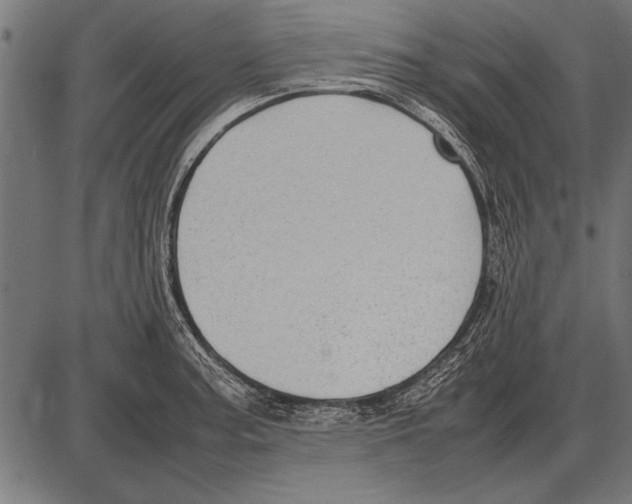 X0000085731187200704091436