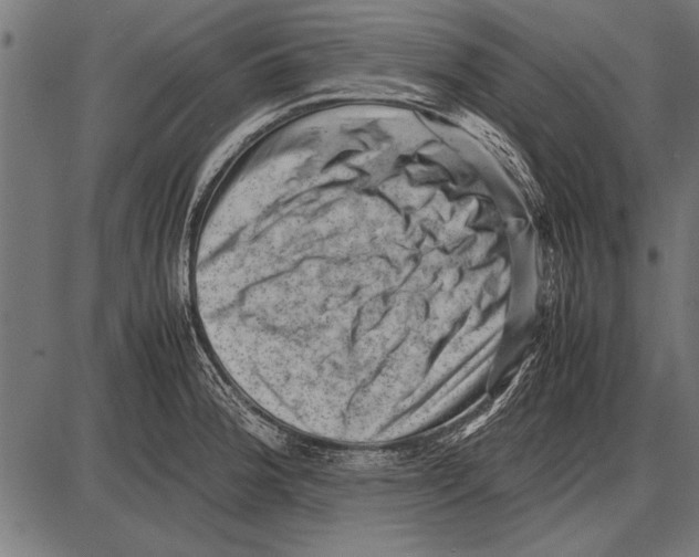 X0000085731188200704091436