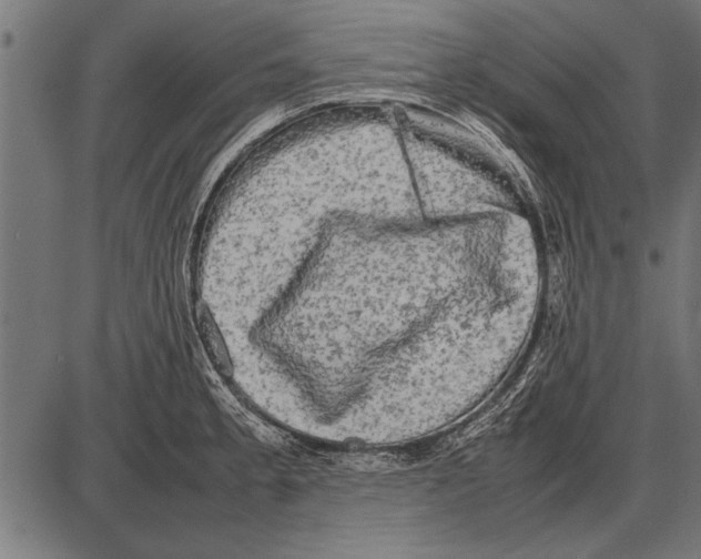 X0000085731189200704091436