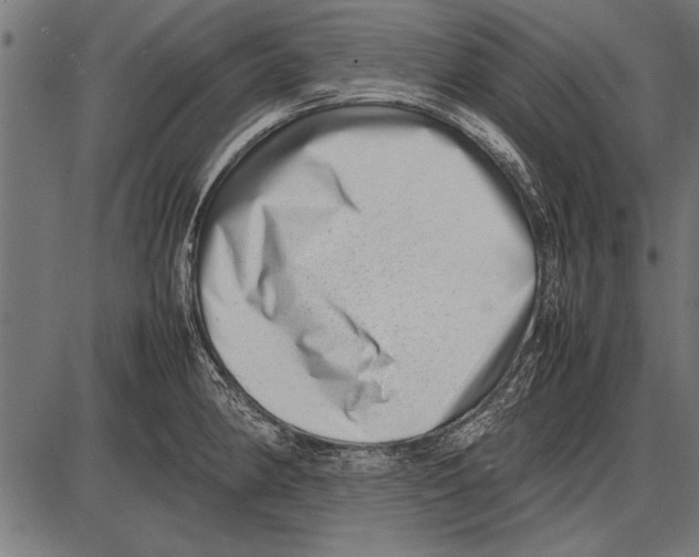 X0000085731190200704091436