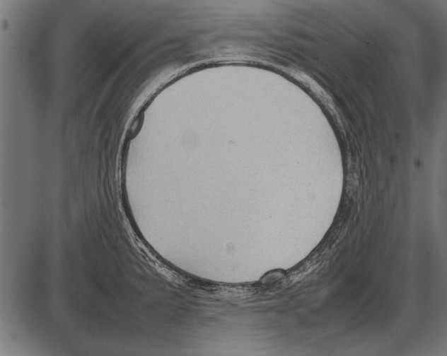 X0000085731191200704091436