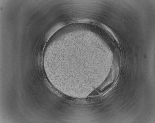 X0000085731194200704091436