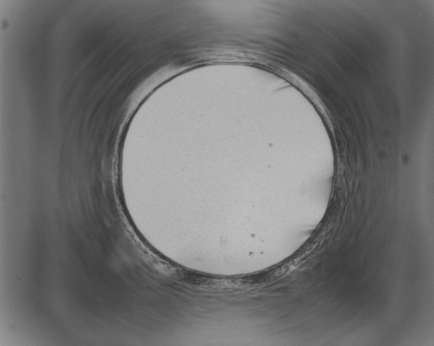 X0000085731195200704091436