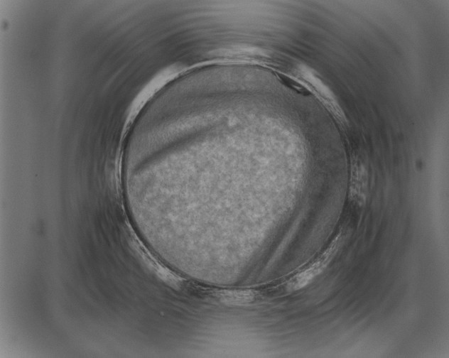 X0000085731196200704091436