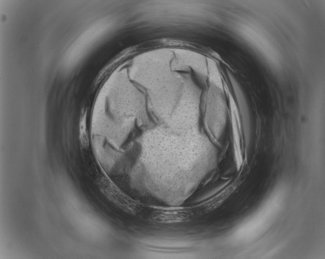 X0000085731198200704091436