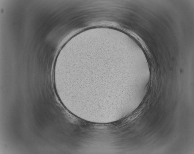 X0000085731199200704091436