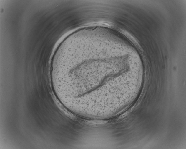 X0000085731200200704091436