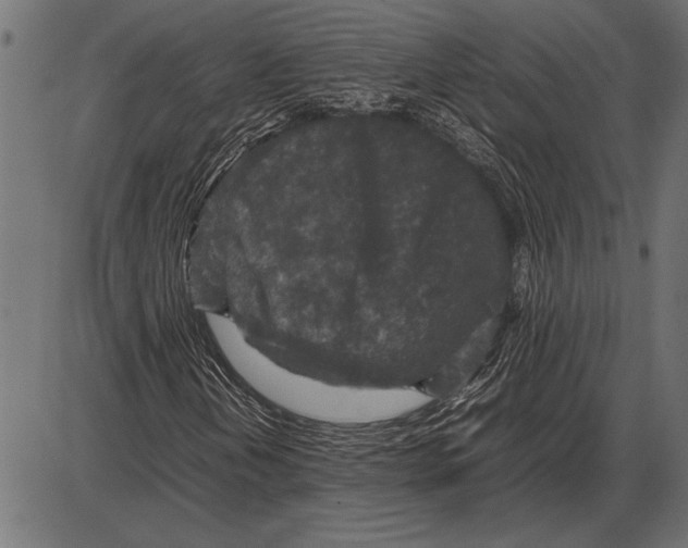 X0000085731202200704091435