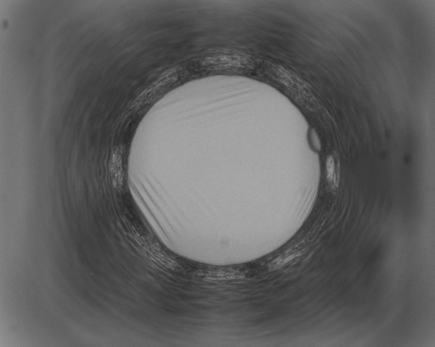 X0000085731203200704091435