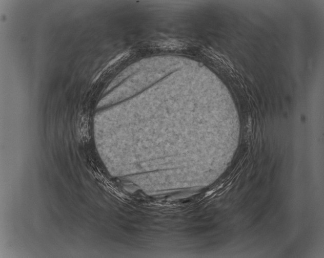 X0000085731205200704091435