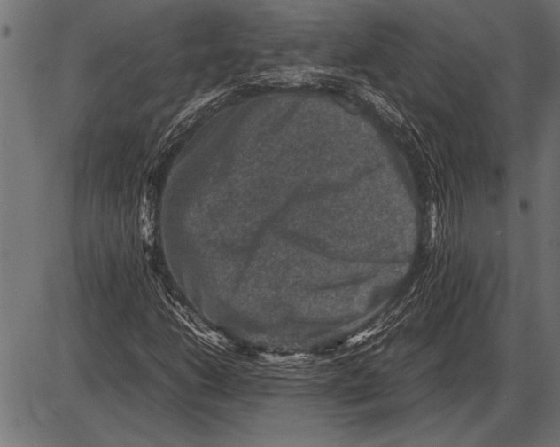 X0000085731206200704091435