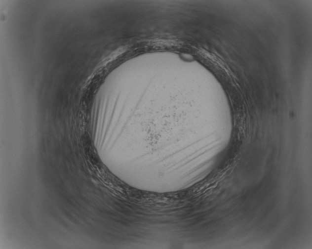 X0000085731207200704091435