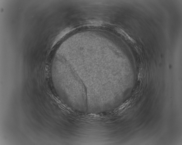 X0000085731208200704091435