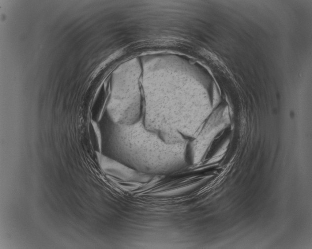 X0000085731210200704091435