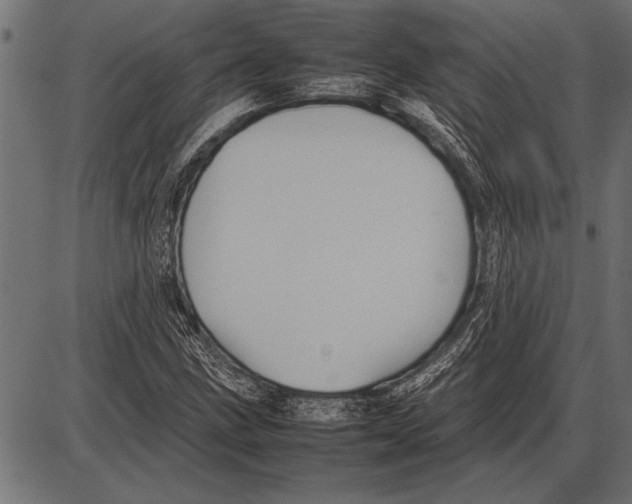 X0000085731211200704091435