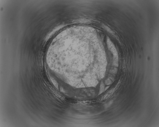 X0000085731214200704091435