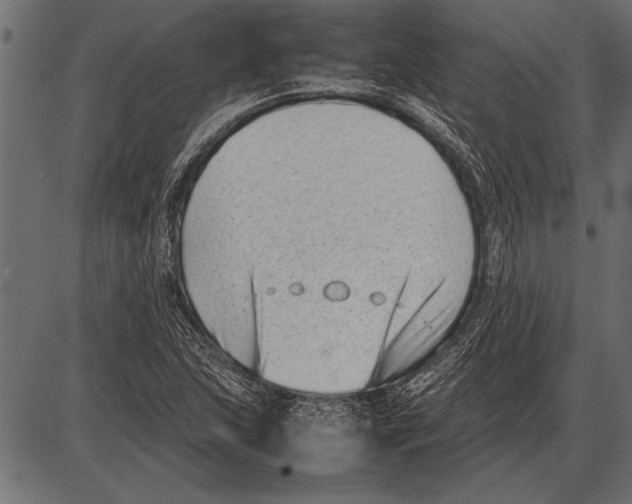 X0000085731215200704091435