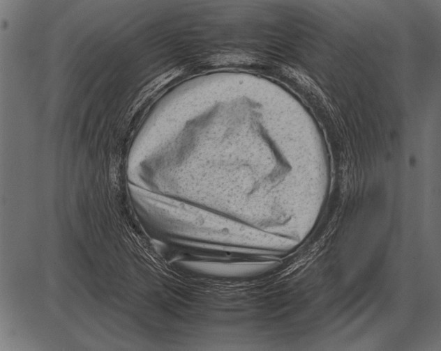 X0000085731217200704091435