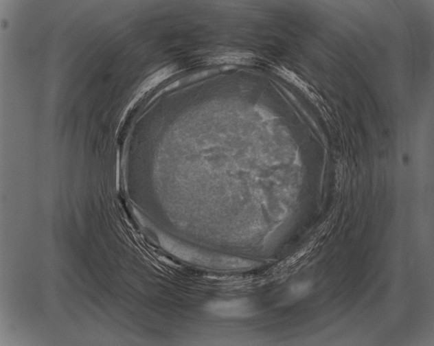 X0000085731219200704091435