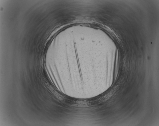 X0000085731220200704091435