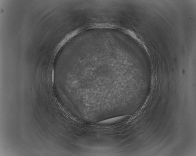 X0000085731221200704091435