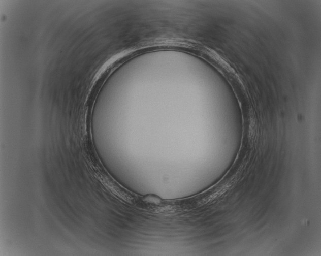 X0000085731222200704091435