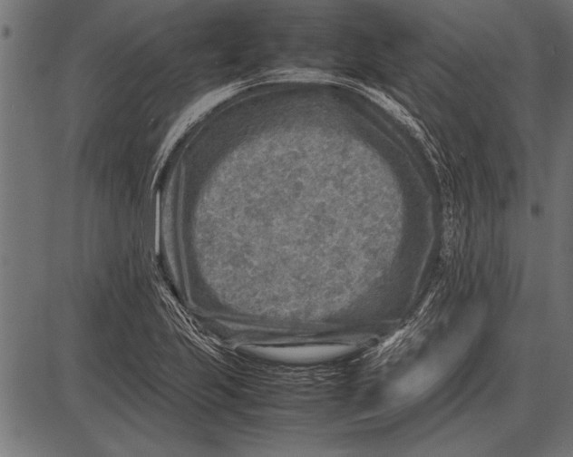 X0000085731223200704091436